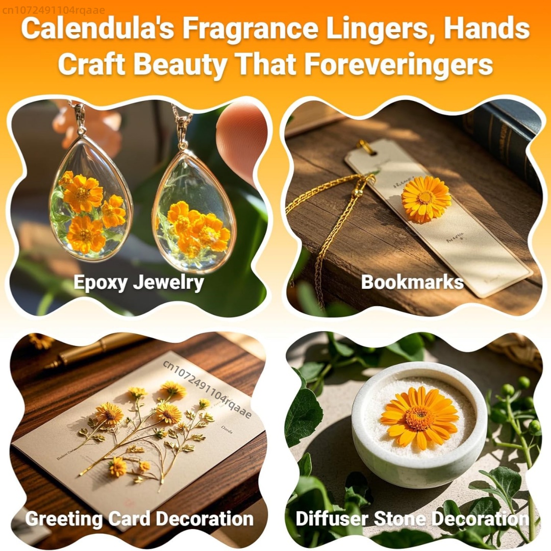 Natural Dried Marigold Flowers - đánh giá và giá Chamomile Tea